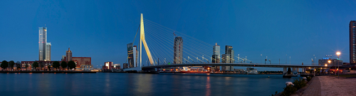 rotterdam.png